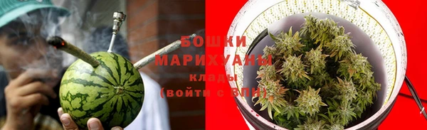гидра Горняк