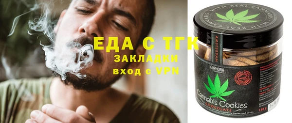 гидра Горняк