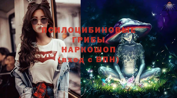 гидра Горняк