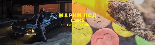 гидра Горняк
