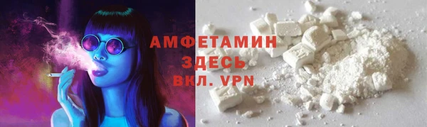 гидра Горняк