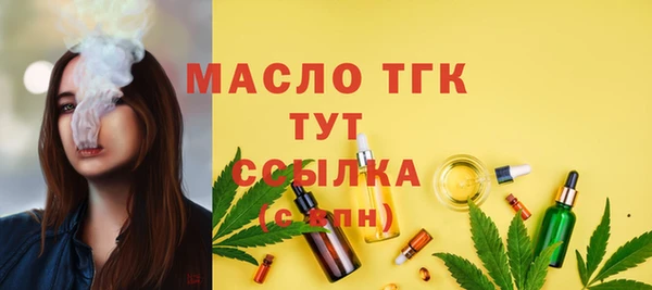 гидра Горняк