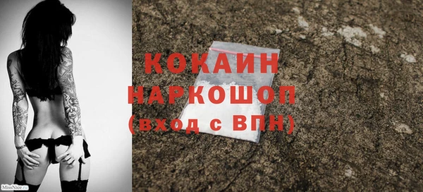 гидра Горняк
