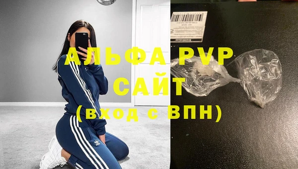 гидра Горняк