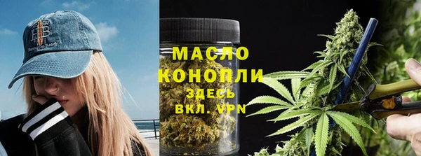 гидра Горняк